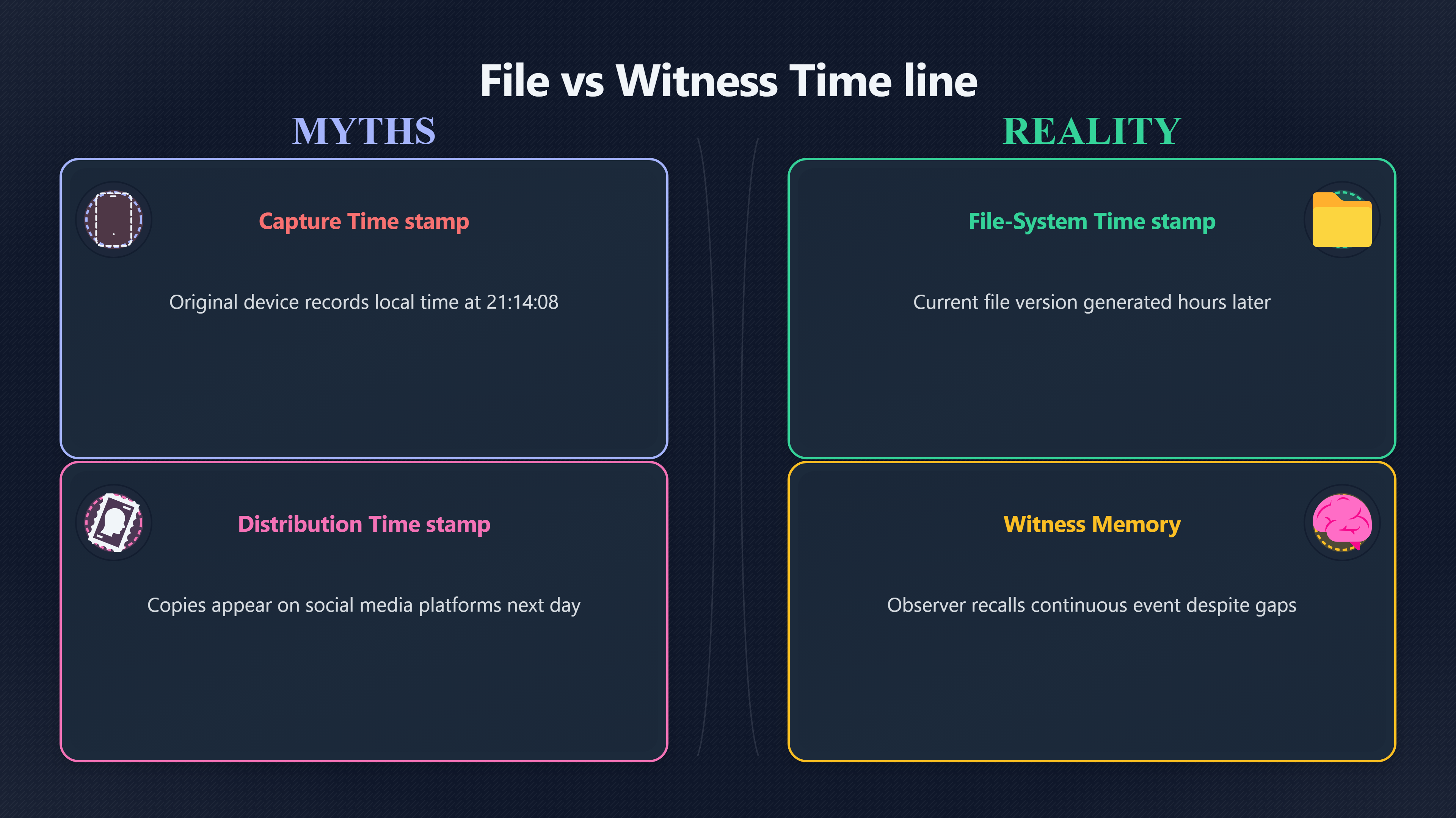 Overview image for What the video really shows | Timeline